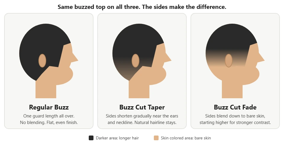 Side view diagram comparing a regular buzz, a buzz cut taper, and a buzz cut fade